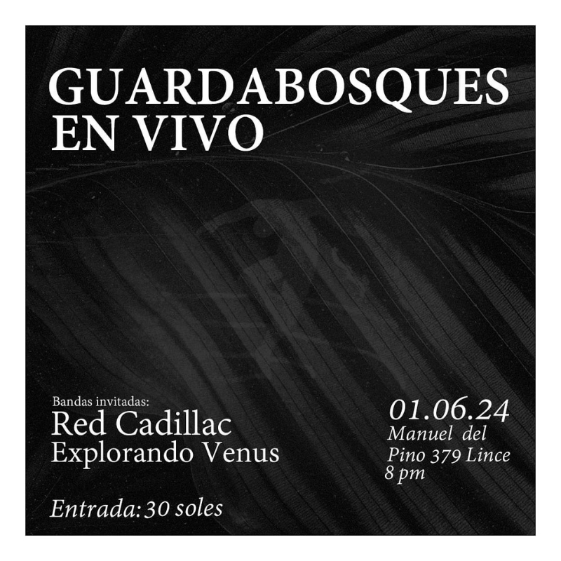 Guardabosques en concierto: Una noche íntima